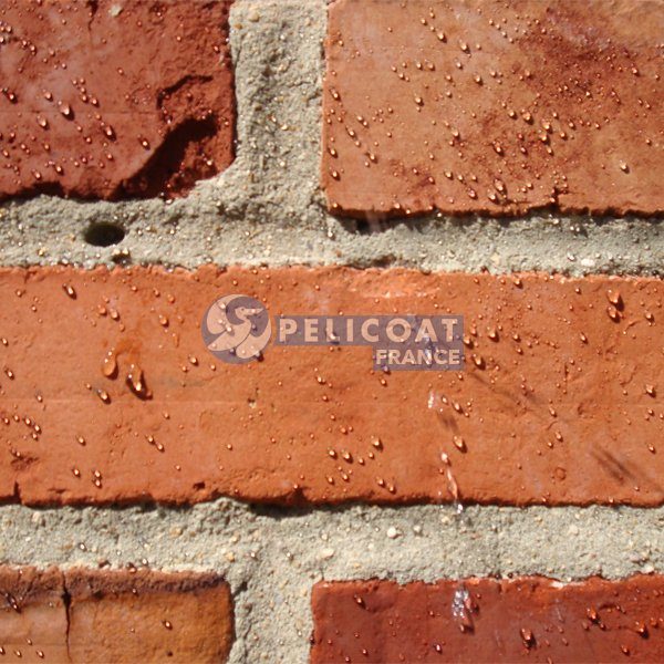 Essai Hydrofuge WALL Aq Pelicoat