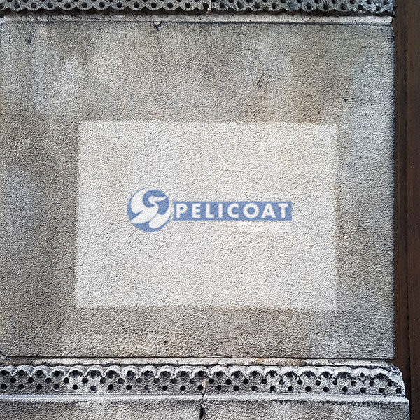 Essai du produit nettoyant professionnel Pierre'Net Pelicoat