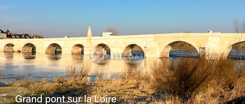 Grand Pont sur la Loire PRO CLEAN PRO ROC AQUEUX Pelicoat France produits nettoyage rénovation protection patrimoine
