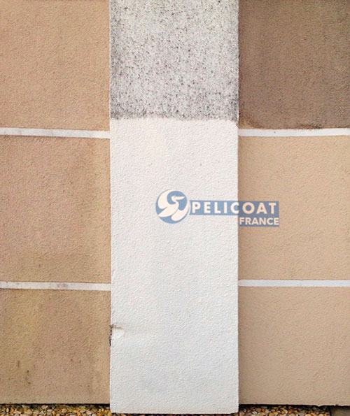 PRO RENOV Pelicoat France | Produits de nettoyage, rénovation et protection du patrimoine